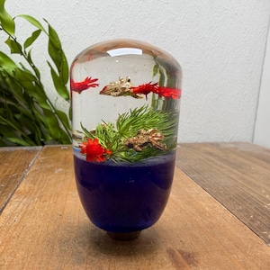Botão de câmbio de flor subaquática, peixinho dourado, esconde-esconde, azul milioduloso