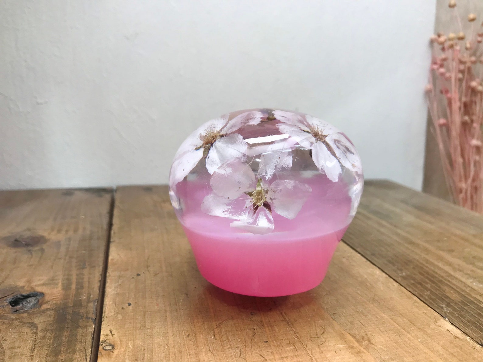 Underwater Flower Shift Knob Scone Type Cherry Blossom Pink Etsy
