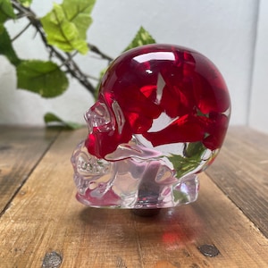 May include: A clear glass skull with red flower petals inside. The skull is a decorative object.