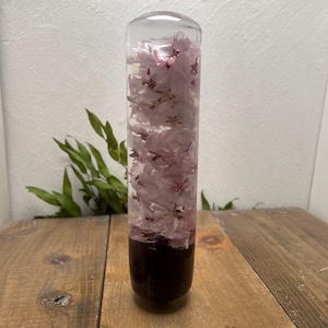 Puede incluir: Un objeto cilíndrico de vidrio transparente lleno de flores de cerezo rosas. La parte inferior del vidrio es de color burdeos oscuro. El objeto se exhibe sobre una superficie de madera con follaje verde en el fondo.