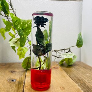 May include: A clear glass cylinder filled with a red liquid and a preserved black rose. The rose is positioned upright in the center of the cylinder.