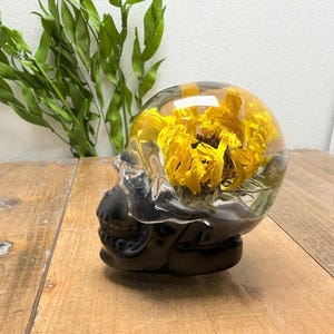 May include: A black skull-shaped decorative object with a clear, rounded top encasing a vibrant yellow sunflower. The skull sits on a wooden surface, with green foliage in the background. A unique home decor item.