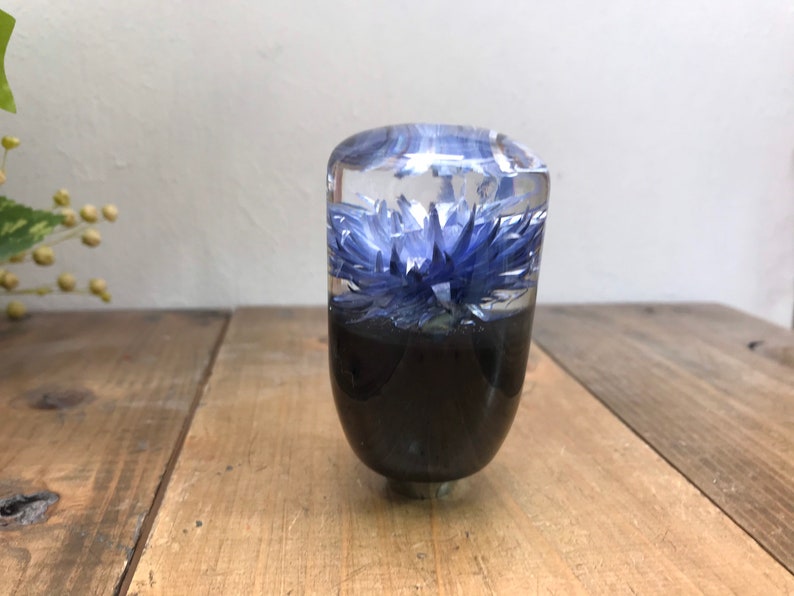 Underwater Flower Shift Knob Silver Daisy Blueviolet Etsy