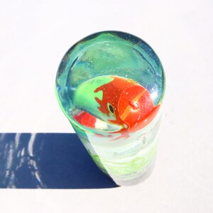 Pu&ograve; includere: Un cilindro di vetro trasparente con un pesce rosso e verde al suo interno. Il cilindro &egrave; su una superficie bianca.