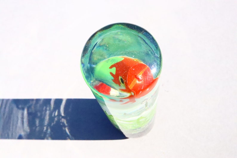 Pu&ograve; includere: Un cilindro di vetro trasparente con un pesce rosso e verde al suo interno. Il cilindro &egrave; su una superficie bianca.