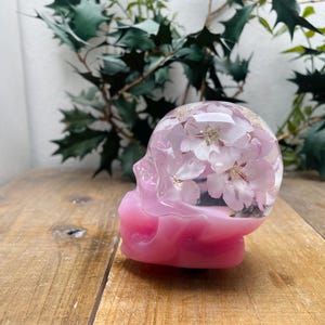 Puede incluir: Un cráneo de resina rosa con una cúpula transparente llena de flores rosas preservadas. El cráneo está sentado sobre una superficie de madera.