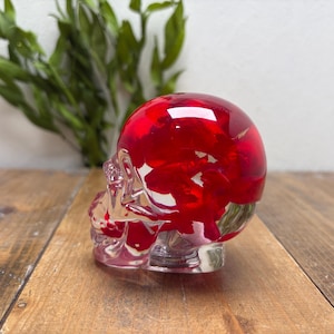 Puede incluir: Una calavera de resina transparente con un interior rojo vibrante. La calavera está colocada sobre una superficie de madera, con follaje verde en el fondo. La calavera es un objeto decorativo.