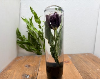 Underwater Flower Shift Knob, Cylindrical, Tulip, San Pablo