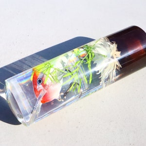 May include: A clear glass cylinder containing a red and white fishing lure, green plants, and white feathers. The cylinder has a brown cap.