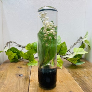 Può includere: Un cilindro di vetro trasparente riempito con un arrangiamento di fiori di mughetto conservati. I fiori sono bianchi e le foglie sono verdi. Il cilindro è appoggiato su una superficie di legno.