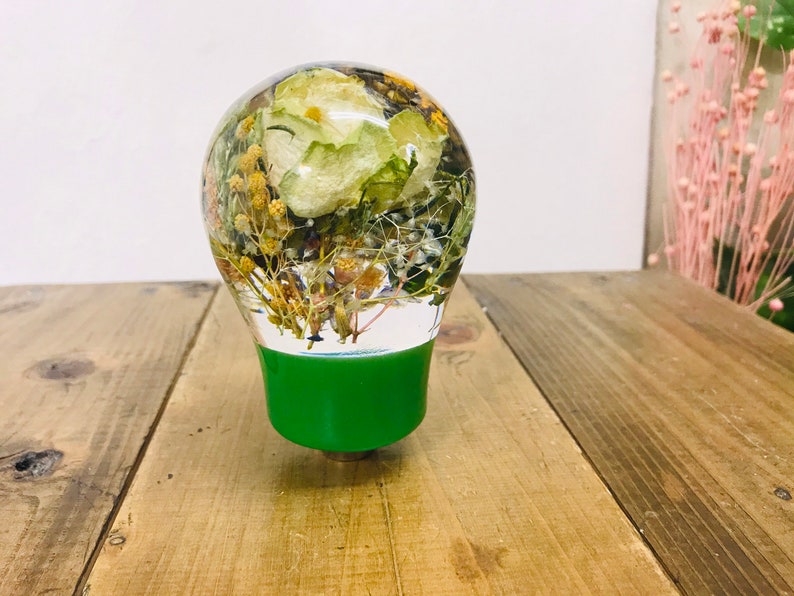 Underwater Flower Shift Knob Light Bulb Type Bouquet Green Etsy