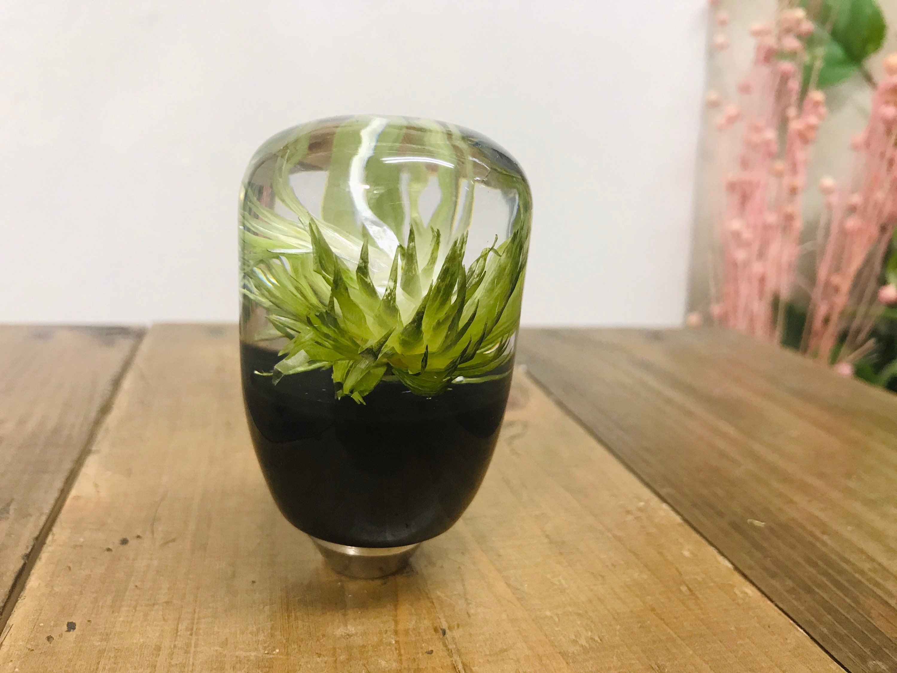 Underwater Flower Shift Knob Silver Daisy Khaki Etsy