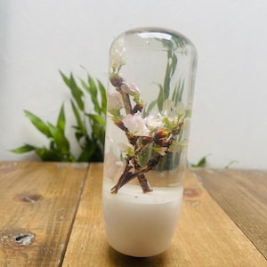 Puede incluir: Un portavelas de cristal transparente con base blanca, que contiene una ramita de ramas en flor. Las ramas tienen pequeñas flores rosas y blancas. El portavelas está sobre una superficie de madera.