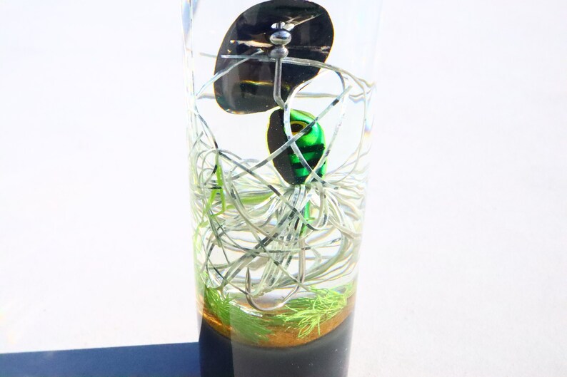 May include: A green and black fishing lure with a silver hook is encased in clear resin with a black base. The lure is surrounded by white and green fishing line.