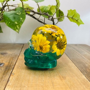 Könnte beinhalten: Ein grüner, schädelförmiger Papiergewicht aus Harz mit gepressten gelben Blumen im Inneren.