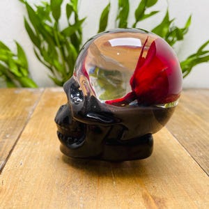 Puede incluir: Un objeto decorativo negro con forma de calavera y una parte superior clara y redondeada. Dentro de la parte superior transparente hay un diseño rojo en forma de flor. La calavera está colocada sobre una superficie de madera, con follaje verde en el fondo.