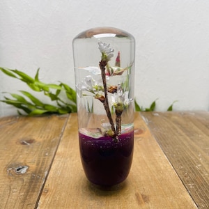 May include: A clear, cylindrical resin paperweight with a dark purple base. Inside, a sprig of white flowers and buds is suspended, creating a unique decorative piece. The paperweight is displayed on a wooden surface.