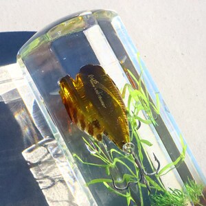 May include: A clear acrylic block containing a gold fishing lure. The lure has a green and brown body with a single hook. The lure is surrounded by green plastic plants.