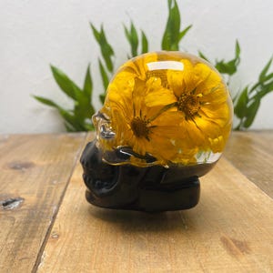 Puede incluir: Una escultura decorativa de calavera con una base negra y una parte superior de resina transparente. La resina encierra dos flores amarillas. La escultura se exhibe sobre una superficie de madera con follaje verde en el fondo.