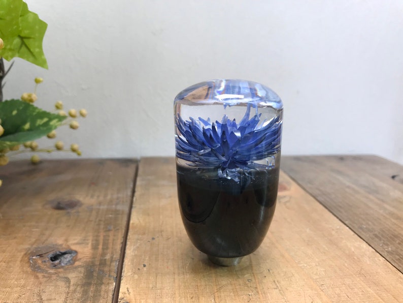Underwater Flower Shift Knob Silver Daisy Blueviolet Etsy