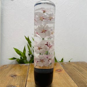 Water Flower Shift Knob, Cylindrical, Cherry Blossom, Black