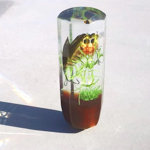 Fishing Lures Shift Knobs