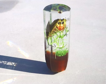 Pomelli del cambio per esche da pesca