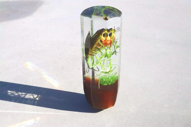 May include: A clear resin paperweight containing a brown, green and yellow insect. The insect is surrounded by green plant material.