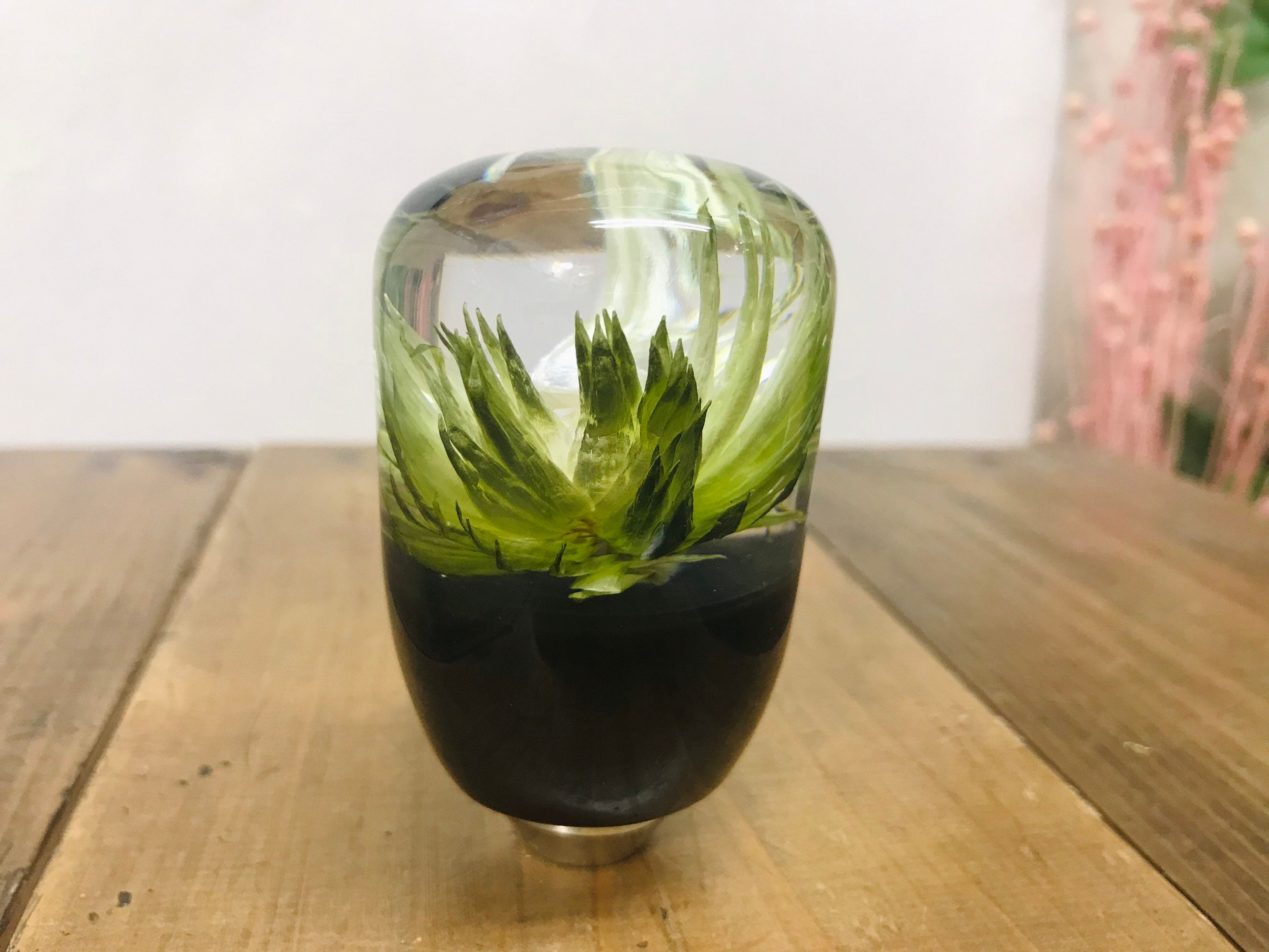 Underwater Flower Shift Knob Silver Daisy Khaki Etsy