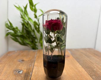Underwater Flower Shift Knob: Red Roses and Eucalyptus