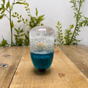 Könnte beinhalten: Ein klares, abgerundetes Glasobjekt mit einem Pusteblumen-Samenkopf in der Mitte. Der untere Teil ist leuchtend türkis. Es steht auf einer Holzoberfläche, mit grünem Laub im Hintergrund. Ungefähr 10 cm hoch.