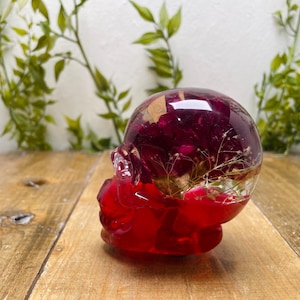 Könnte beinhalten: Eine rote Totenkopfskulptur aus Harz mit einer transparenten Kuppel, gefüllt mit getrockneten Blumen und weinroten Blütenblättern. Der Schädel liegt auf einer Holzoberfläche, mit grünem Laub im Hintergrund.