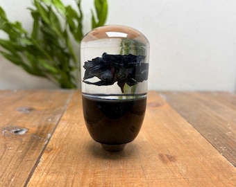 Underwater Flower Shift Knob - Single Rose - Black