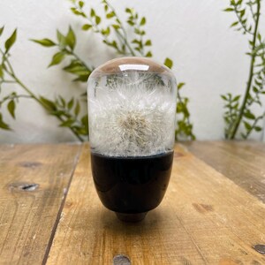 Puede incluir: Objeto decorativo con una cabeza de semilla de diente de león encapsulada en resina transparente. La base es negra brillante, que pasa a una parte superior marrón claro. Se exhibe sobre una superficie de madera rústica.