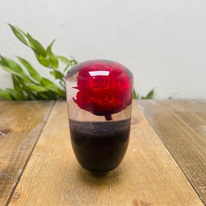 Pomo de palanca de cambios con forma de flor submarina - Rosa roja brillante individual - Negro