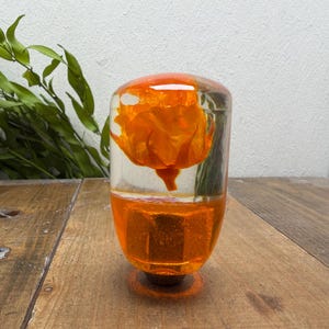 Underwater Flower Shift Knob - Single Rose - Orange