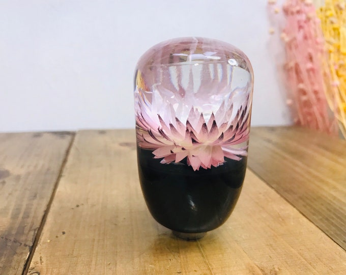 Underwater Flower Shift Knob Silver Daisy Light Pink Etsy