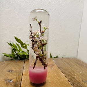 Puede incluir: Una pieza de arte de resina cilíndrica transparente con una base rosa, que encierra delicadas ramas de flores de cerezo blancas y rosas. La pieza se encuentra sobre una superficie de madera, con follaje verde visible en el fondo.