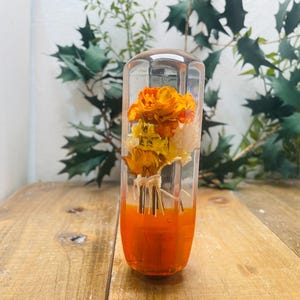Könnte beinhalten: Ein klarer Glaszylinder gefüllt mit getrockneten orangefarbenen und gelben Blumen. Der Zylinder hat eine leuchtend orangefarbene Basis.