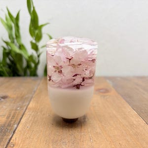 May include: A cylindrical gear shift knob featuring a clear resin top section embedded with delicate light pink cherry blossom petals, transitioning into a solid opaque white base with a dark circular mounting point at the bottom.