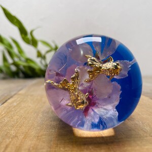 Schaltknauf mit Unterwasserblumenmotiv – Goldfische auf Kirschblüten – Blau