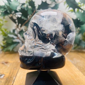 Puede incluir: Un cráneo de vidrio transparente con una base negra, lleno de flores y hojas blancas secas.