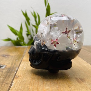 Puede incluir: Un objeto decorativo transparente con forma de calavera con flores blancas y rosas en su interior. La base de la calavera es negra. El objeto se exhibe sobre una superficie de madera.