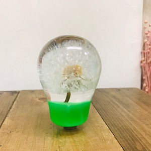 Underwater flower shift knob light bulb type dandelion green