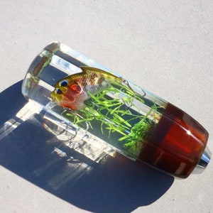 May include: A clear resin gear shift knob with a small fish and green plants inside. The bottom of the knob is brown.