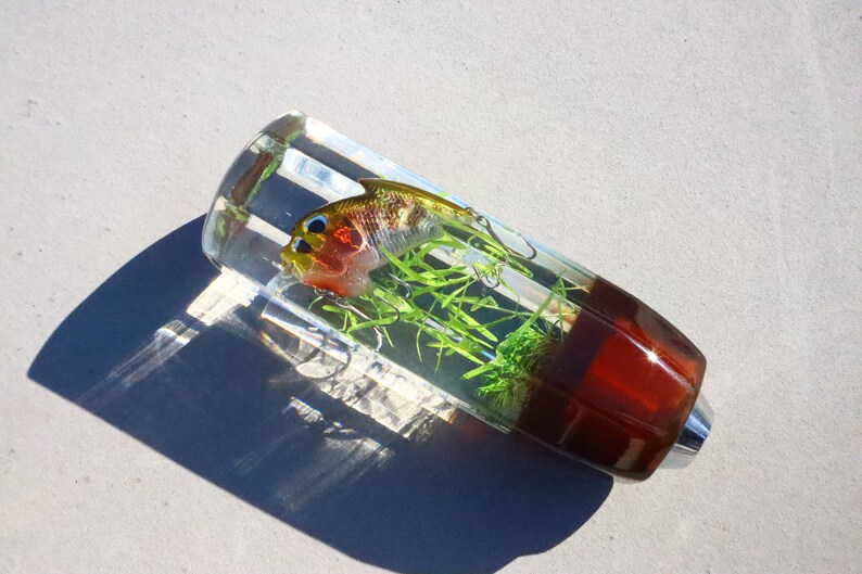 May include: A clear resin gear shift knob with a small fish and green plants inside. The bottom of the knob is brown.