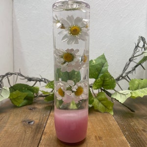 以下が含まれることがあります： 白いデイジーの花が詰まった透明なガラスの円筒とピンク色のベース。円筒は木製の表面の上に置かれています