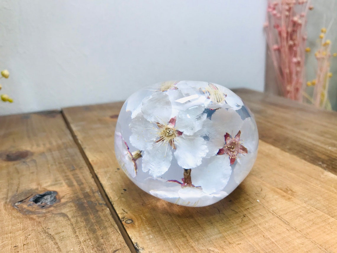Underwater Flower Shift Knob Skull Cherry Blossom White Etsy