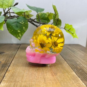 Op de afbeelding: Een roze schedel van hars met een transparante harskoepel gevuld met geperste gele bloemen. De schedel staat op een houten oppervlak.