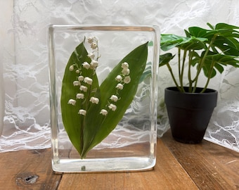 Floral interior decoration: Lily of the Valley (L)